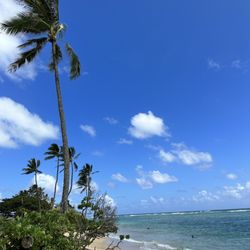 Ka'a'awa Beach Park