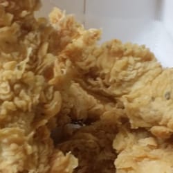 Tenders with gnats and flies yumm