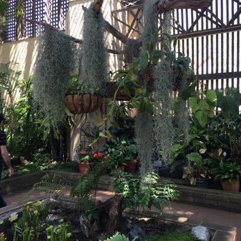 Botanical Building - Featured exhibits - Botanical Gardens Near Me - San Diego, California