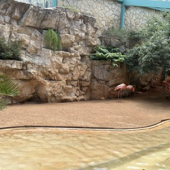 San Antonio Zoo - Zoos Near Me - San Antonio, Texas