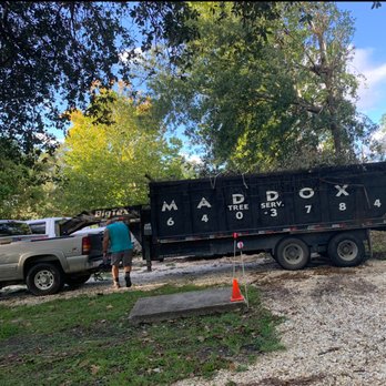 Maddox Tree Service - Tree Services Near Me - Picayune, Mississippi Maddox Tree Service - Tree Services Near Me - Picayune, Mississippi