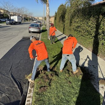 Turfland - Working - Artificial Turf Near Me - Los Angeles, California Turfland - Working - Artificial Turf Near Me - Los Angeles, California