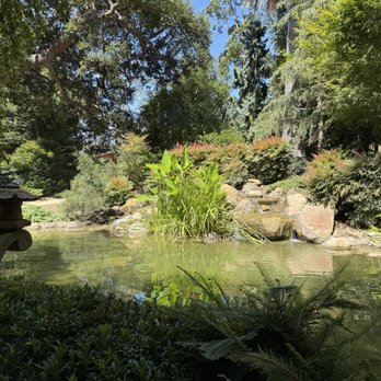 Lotusland - Japanese garden - Botanical Gardens Near Me - Santa Barbara, California