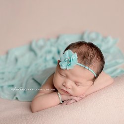 Lynn Puzzo Photography