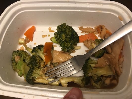 Lucy's North China Cuisine by null