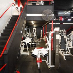 Stallion Arena Fitness - 1st Floor Machines