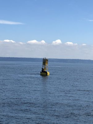 Puget Sound Express by null
