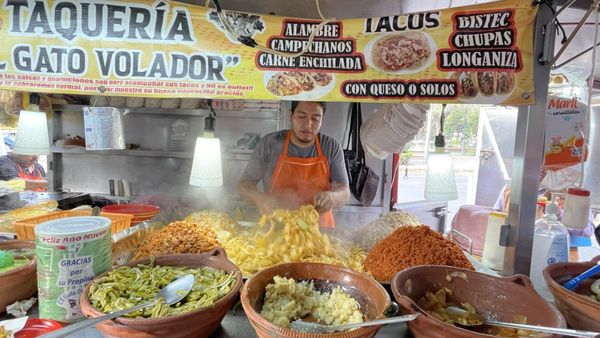 Tacos "El Gato Volador" by null