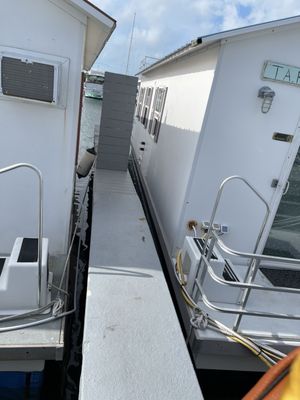 Mangrove Marina by null