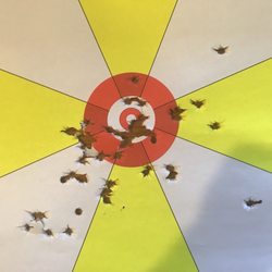 Bridgeport Shooting Range - Ok, for a beginner!