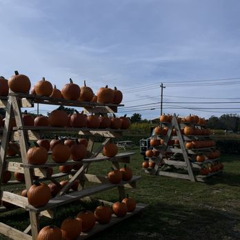 Schmitt's Farm Stand on Sound - Farms Near Me - Riverhead, New York Schmitt's Farm Stand on Sound - Farms Near Me - Riverhead, New York