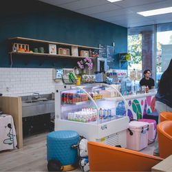Great selection of healthy snacks for the kids and gourmet drinks for the adults!