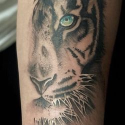 Inkfinity Tattoos - Black and gray realism tiger in desert tattoo.