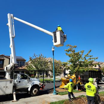 Golden State Tree Care - After :) - Tree Services Near Me