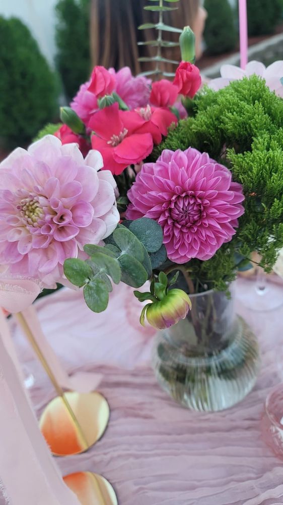 MINIVENT Updated September 2024 12 Photos Edison, New Jersey