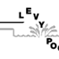 Levy Pools - Logo