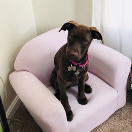 Luna Luna