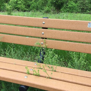 Peace Valley Park - Don't sit down unless you want to get Lyme disease - Parks Near Me - Doylestown, Pennsylvania