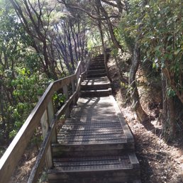 Boardwalk track up to the summit. Boardwalk track up to the summit.