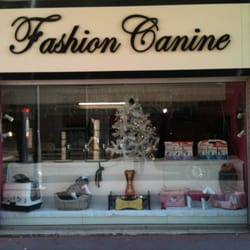Fashion Canine