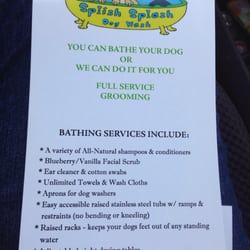 Splish Splash Dog Wash