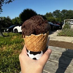Ice Cream Waffle Cone