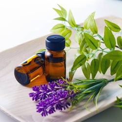 Hand & Stone Massage and Facial Spa - We offer a variety of massage and facial enhancements, including aromatherapy.