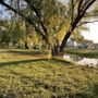 Photo of Braunig Lake RV Resort
