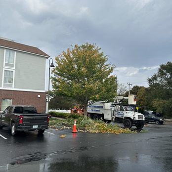 Joe's Tree Service - Tree Services Near Me Joe's Tree Service - Tree Services Near Me
