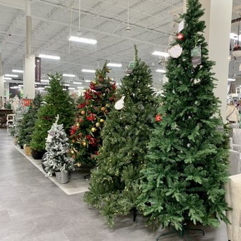 Homesense - Lighting Stores Near Me - Jacksonville, Florida