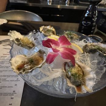 Kaizen Sushi - Oysters yum - Sushi Bars Near Me - Portland, Oregon Kaizen Sushi - Oysters yum - Sushi Bars Near Me - Portland, Oregon