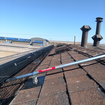 Hadlow Pest Solutions - Bird exclusion on solar panels - Pest Control Near Me Hadlow Pest Solutions - Bird exclusion on solar panels - Pest Control Near Me