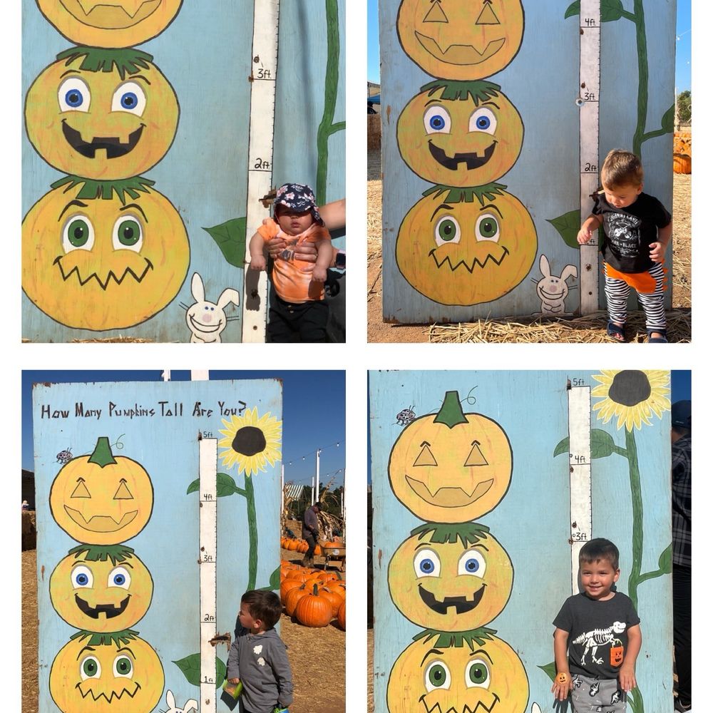 4 years of annual photos
