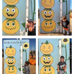 Pumpkin Station - 4 years of annual photos