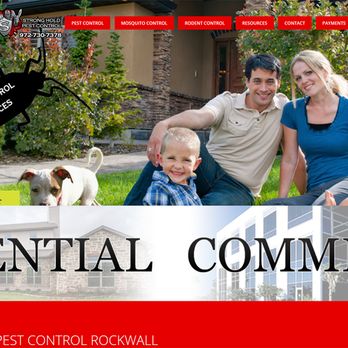 Key Element Media - Pest Control Web Design - Web Design Near Me - Rockwall, Texas