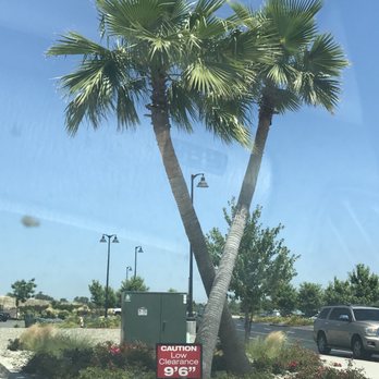 In-N-Out Burger - Crossed palm trees, very unique! - Burgers Near Me - Rocklin, California In-N-Out Burger - Crossed palm trees, very unique! - Burgers Near Me - Rocklin, California