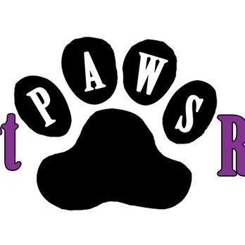 Desert Paws Rescue Cats - Desert Paws Rescue 2023 - Animal Shelters Near Me - Mesa, Arizona