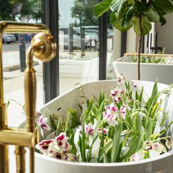 Kohler Store