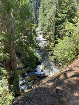 Tamolitch Falls (Blue Pool) by null