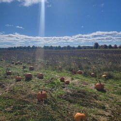 Holzman's Family Farm
