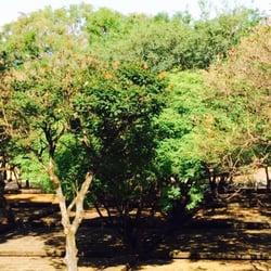 Praça dos namorados