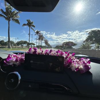 National Car Rental - Car Rental Near Me - Kahului, Hawaii National Car Rental - Car Rental Near Me - Kahului, Hawaii