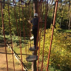 Rhein-Main Adventure Forest