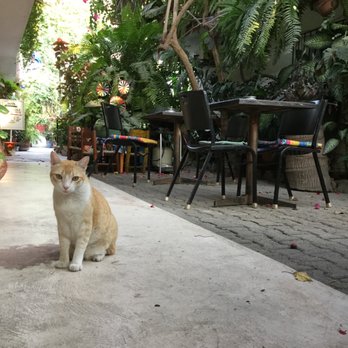Gringos' Books & Coffee Shop - Bookstores Near Me - Bucerías, NAY