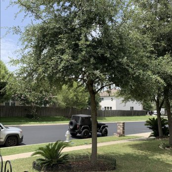 Arbortex Tree Service - Tree Services Near Me - Corpus Christi, Texas Arbortex Tree Service - Tree Services Near Me - Corpus Christi, Texas