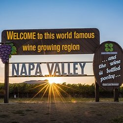 Napa Sonoma Vino Tours
