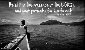 Lake Murray Counseling Center - grief counselor in Irmo, SC