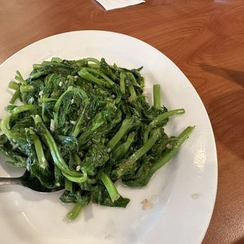 Ocean Delight Seafood Restaurant - Pea sprouts - Dim Sum Near Me - San Jose, California Ocean Delight Seafood Restaurant - Pea sprouts - Dim Sum Near Me - San Jose, California
