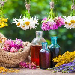 SoloPerTe Skin Care - cruelty free,vegan professional skin care from Canada ww.soloperteorganics.com