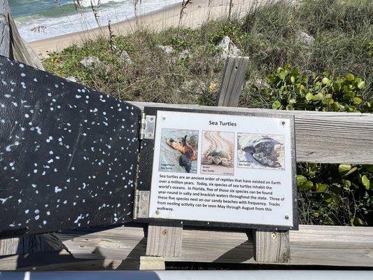 McLarty Treasure Museum by null